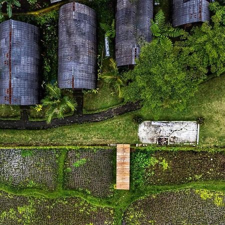 Hotel Omah Bapak Ijen Eco House Licin Exterior foto