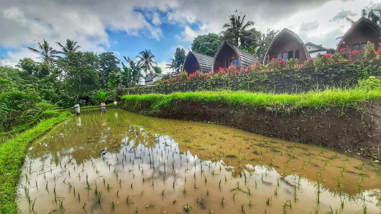 Hotel Omah Bapak Ijen Eco House Licin Exterior foto